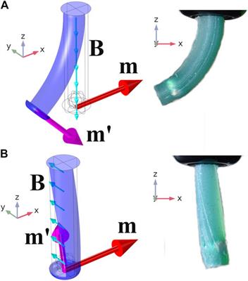 Feasibility of Fiber Reinforcement Within Magnetically Actuated Soft Continuum Robots